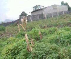 Des terrains à vendre en ville de Goma, Nord-Kivu / RDC